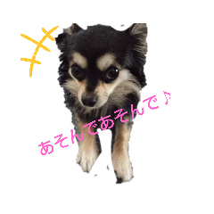 [LINEスタンプ] さすけ日和