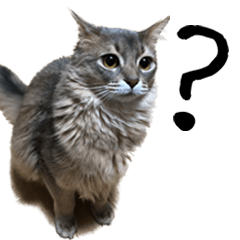 [LINEスタンプ] サスポンズ