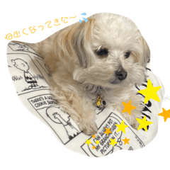 [LINEスタンプ] Hokke۬৺۬
