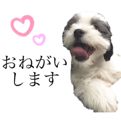[LINEスタンプ] イブイブスタンプ♫