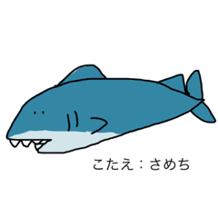 [LINEスタンプ] サメの子さめちのスタンプの画像（メイン）