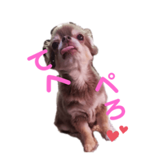 [LINEスタンプ] りん❤️らい3