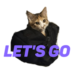 [LINEスタンプ] こねこのみーにゃん3