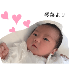 [LINEスタンプ] 琴菜スタンプ！
