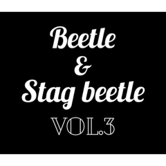 [LINEスタンプ] Beetle＆Stag beetle vol.3
