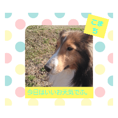 [LINEスタンプ] こまちの1日