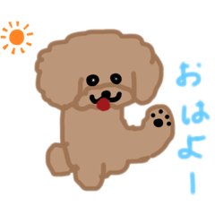 [LINEスタンプ] トイプーここあの日常会話