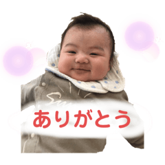 [LINEスタンプ] 毎日ピロくん