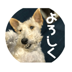[LINEスタンプ] アシュリースタンプ