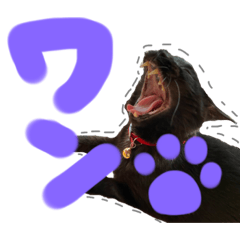 [LINEスタンプ] 黒猫がいる暮らし2
