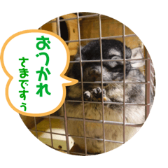 [LINEスタンプ] もこの挨拶スタンプ