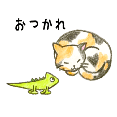 [LINEスタンプ] カメレオン、時々ねこ