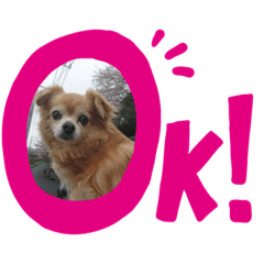 [LINEスタンプ] 犬′s