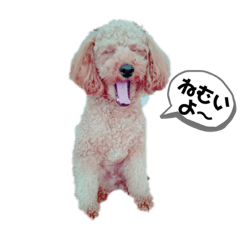 [LINEスタンプ] モコとラブ
