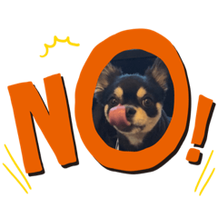 [LINEスタンプ] さにーさん