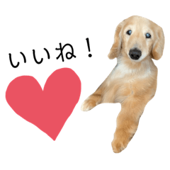 [LINEスタンプ] モメ様3