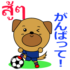 タイのサッカー犬