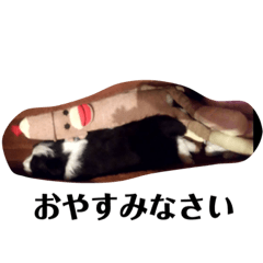 [LINEスタンプ] 愛犬バディスタンプ