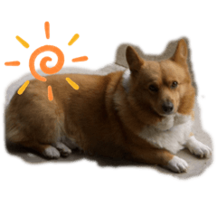 [LINEスタンプ] こてぷ