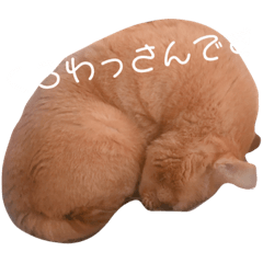 [LINEスタンプ] まろんくんの日常