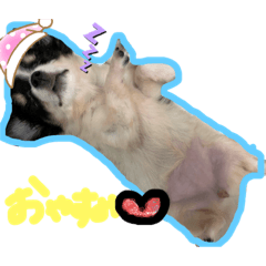 [LINEスタンプ] Lanaぷ︎︎︎︎︎❥