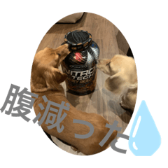 [LINEスタンプ] ピンクとシルク