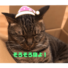 [LINEスタンプ] めいちゃんのスタンプ①