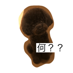 [LINEスタンプ] シェリちゃん☻