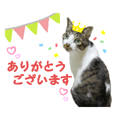 [LINEスタンプ] RとHの日常使い。