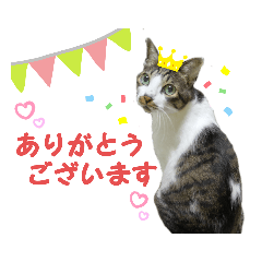 [LINEスタンプ] RとHの日常使い。の画像（メイン）