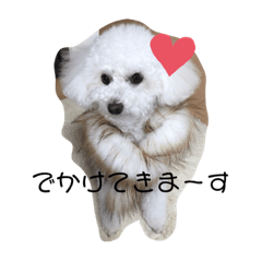 [LINEスタンプ] 愛犬、ドロシー