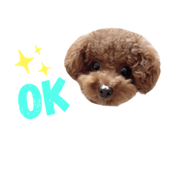 [LINEスタンプ] ぷぷのスタンプ①