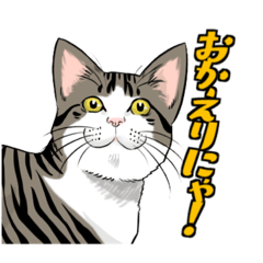 [LINEスタンプ] キジトラぽちゃ猫スタンプ2