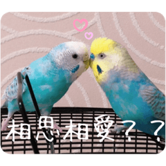 [LINEスタンプ] レオアリまいにち2