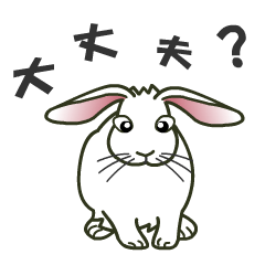 [LINEスタンプ] うさぎさん達の一言