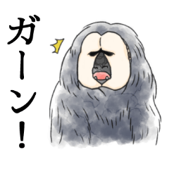 [LINEスタンプ] きほんのシロガオサキ 