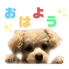 [LINEスタンプ] ぷーすたんぷ2