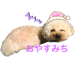 [LINEスタンプ] 日常のひとこまに こまちスタンプ