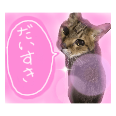 [LINEスタンプ] だいすきなくっちゃん❤️