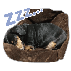 [LINEスタンプ] ぶーぶーけん2