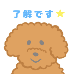 [LINEスタンプ] 家族で使える！トイプードルのいる毎日 