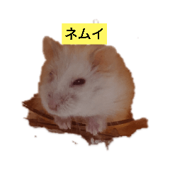 [LINEスタンプ] ルビーのつぶやき。
