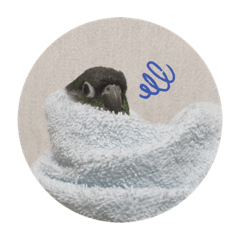 [LINEスタンプ] ピヨとくう 2