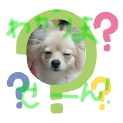 [LINEスタンプ] 大仁田家のスタンプ