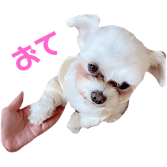 [LINEスタンプ] くるくるみるく➂