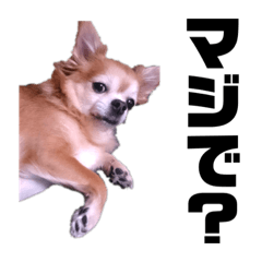 [LINEスタンプ] テトム①