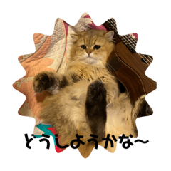 [LINEスタンプ] ルイくんとオセロくん