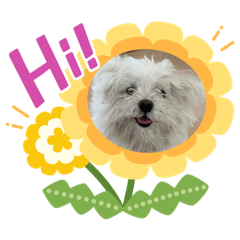 [LINEスタンプ] ざわお家きゃわ