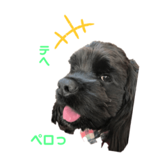 [LINEスタンプ] ビビのスタンプpartⅡ