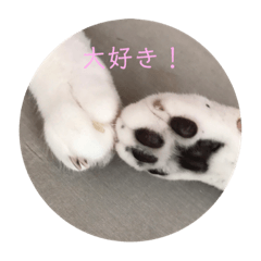 [LINEスタンプ] 愉快なデカMAX